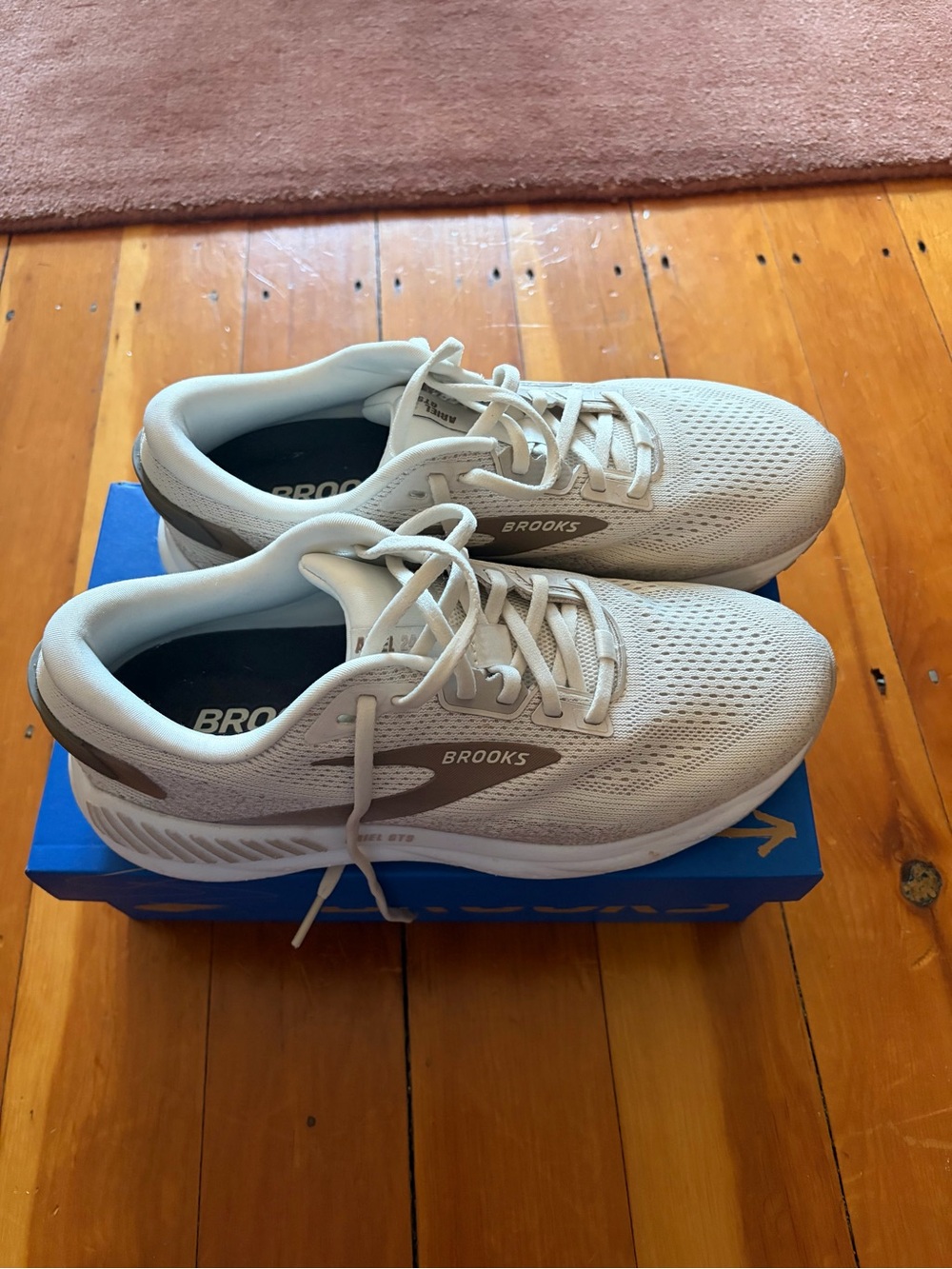 Brooks Ariel GTS 24